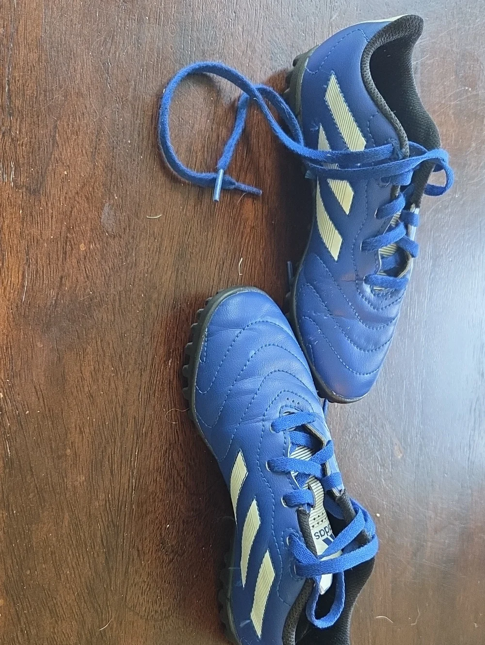 Adidas Kids' Blue Indoor Soccer Cleats